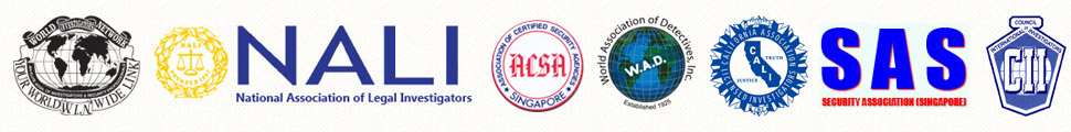 IP rights Investigators Singapore